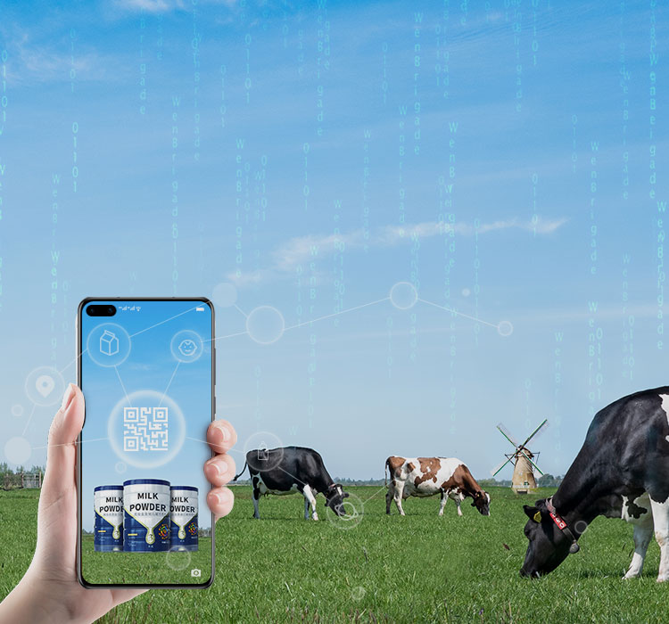 From Pastures to Plates: Full-process Traceability of Milk Powder Products 