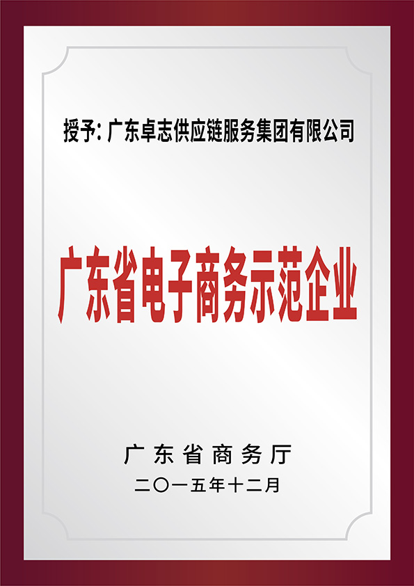 Guangdong E-Commerce Demonstration Enterprise